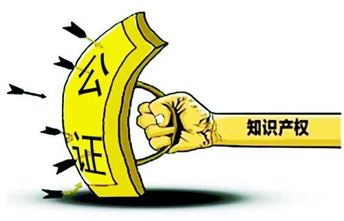 證據固定不再愁，天津公證解煩憂——技術推廣服務助力企業創新發展