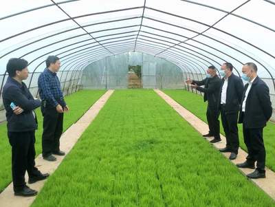 衡南縣聚焦技術(shù)推廣服務(wù)，力爭(zhēng)完成55萬(wàn)畝機(jī)插機(jī)拋面積